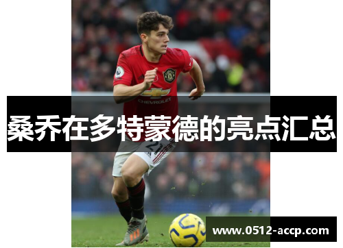 桑乔在多特蒙德的亮点汇总